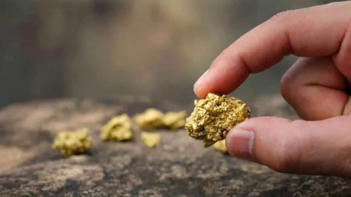 Mais de 440 kg de ouro ilegal são apreendidos no Brasil em 2025