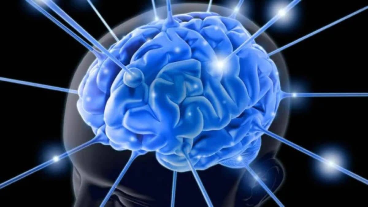 Medicamento antigo mostra potencial no tratamento do Alzheimer
