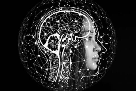 Microplásticos no corpo, perigo no cérebro: Alzheimer e Parkinson
