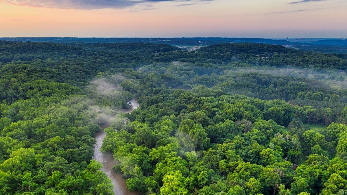 O Plano Clima, que vai guiar as ações do Brasil no enfrentamento às mudanças climáticas até 2035
