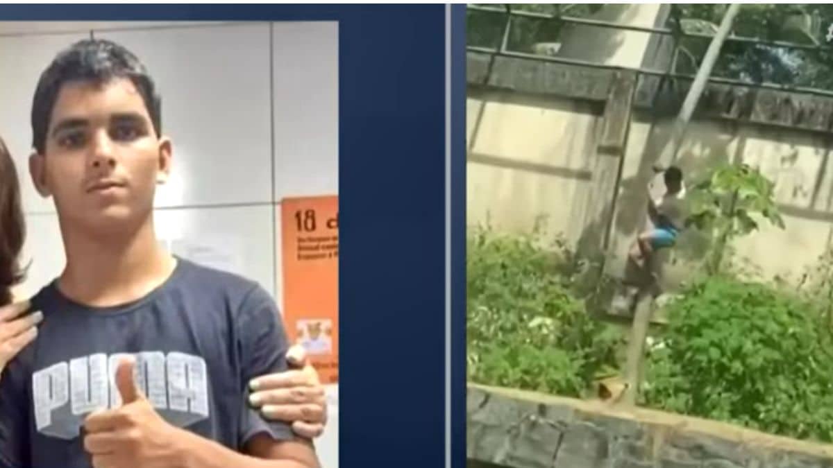 Richard Rasmussen quebra o silêncio e esclarece mitos sobre ataque de leoa a jovem em zoológico