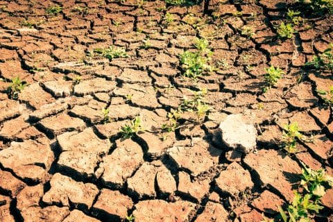 Tecnologia de “água sólida” combate efeitos da seca