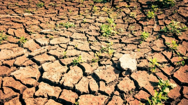 Tecnologia de “água sólida” combate efeitos da seca