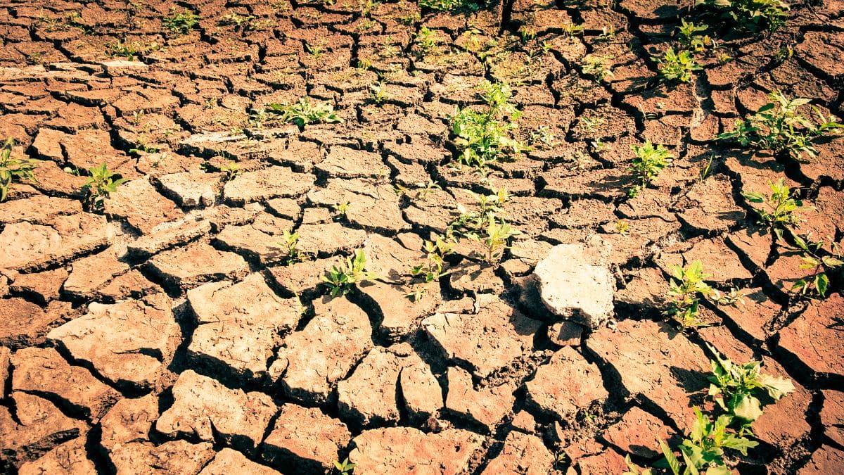 Tecnologia de “água sólida” combate efeitos da seca