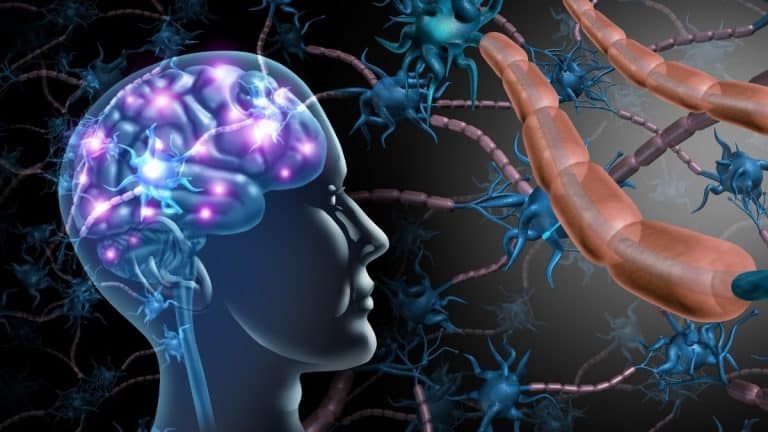 Autismo pode estar ligado à evolução do cérebro humano