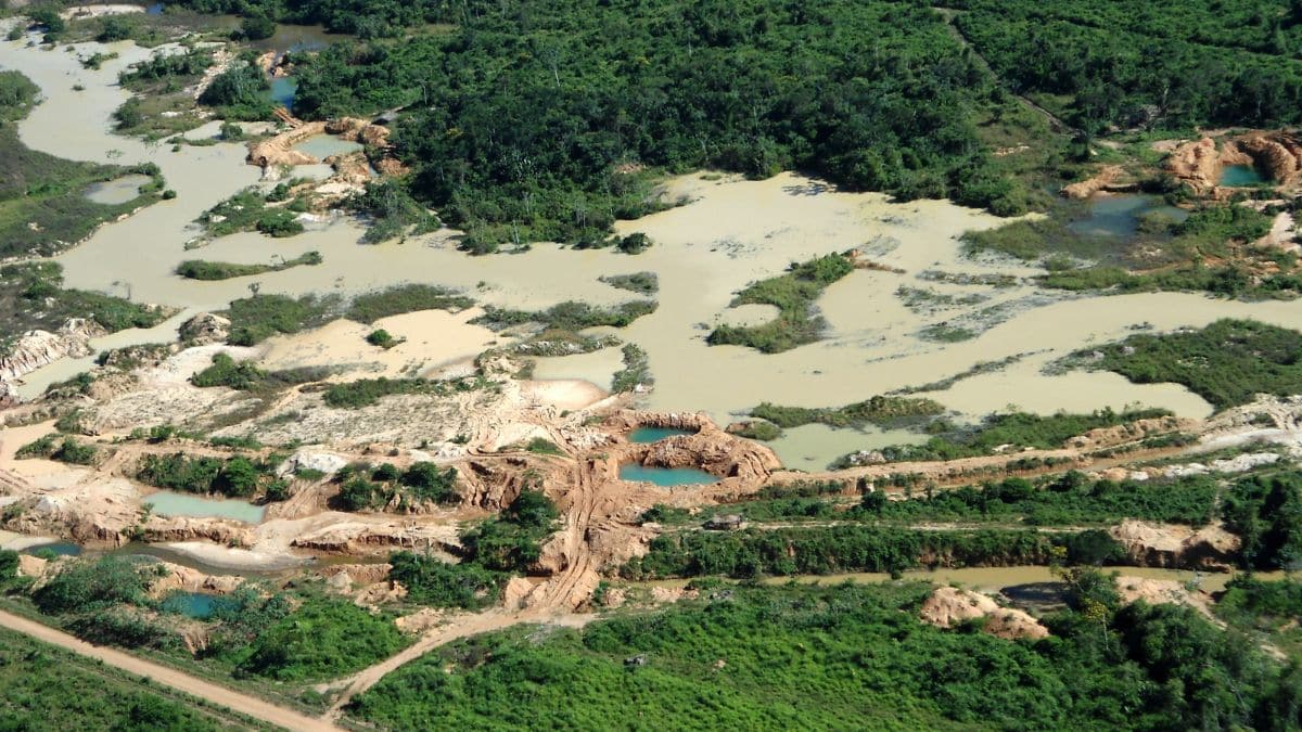 Combate ao garimpo ilegal no Amazonas causa prejuízo de R$ 1,4 bilhão em 2025