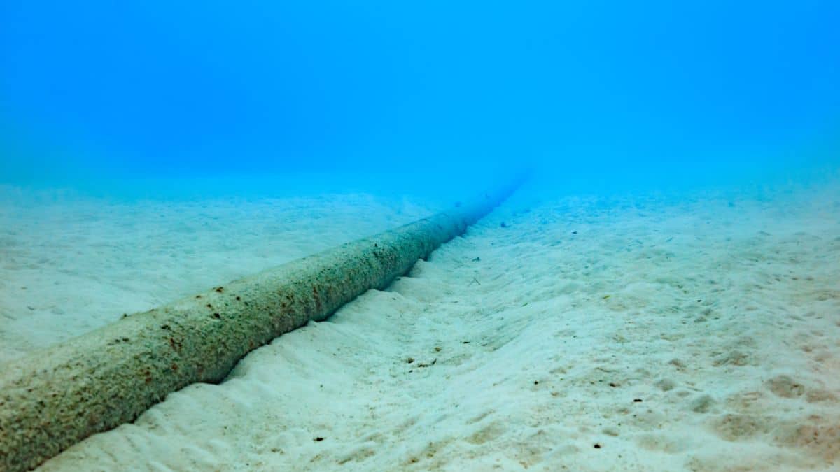 Entenda a importância vital dos cabos submarinos para a internet