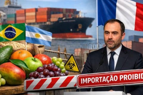 França bloqueia importação de produtos agrícolas da América do Sul por uso de substâncias proibidas pela União Europeia