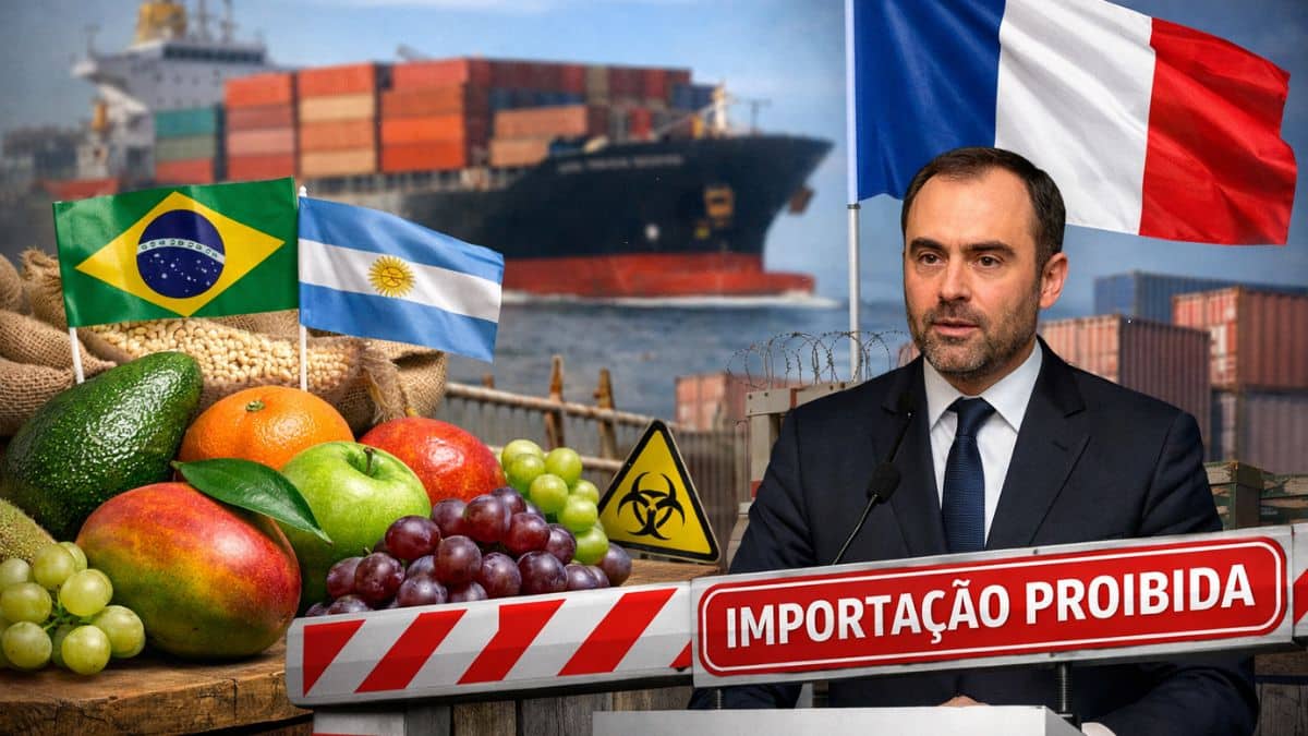 França bloqueia importação de produtos agrícolas da América do Sul por uso de substâncias proibidas pela União Europeia