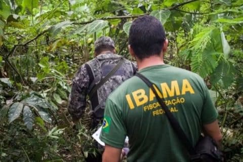 Ibama denuncia falsos concursos com salários de até R$ 9 mil