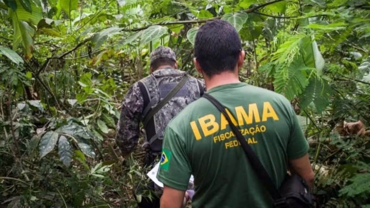 Ibama denuncia falsos concursos com salários de até R$ 9 mil