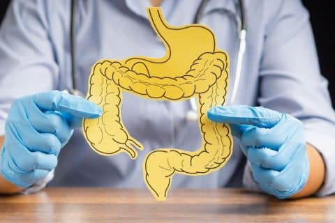 Médico explica o papel real dos probióticos no equilíbrio intestinal