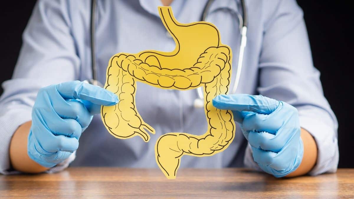 Médico explica o papel real dos probióticos no equilíbrio intestinal