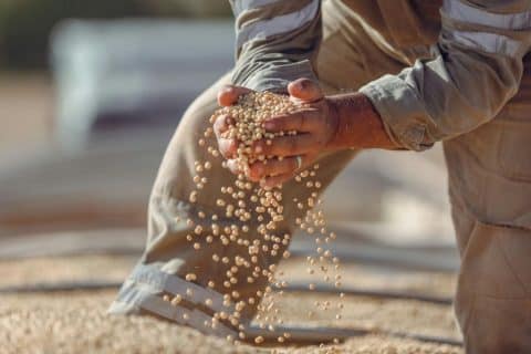 Registros de trabalho escravo crescem no Brasil em 2025