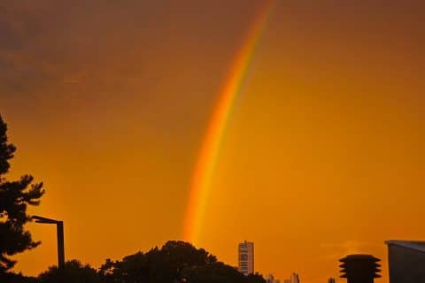 Arco-Íris Surge Após Tarde Escura Surpreender Curitiba