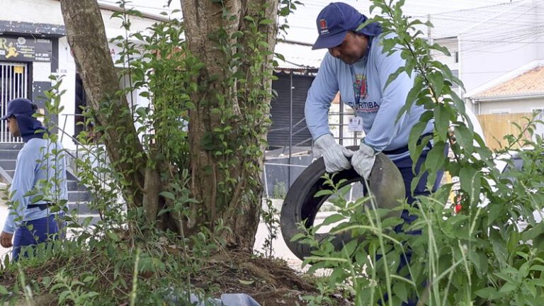 Curitiba Inicia Força Tarefa para Combater Aumento de Casos de Dengue
