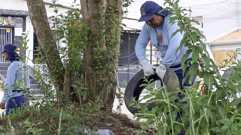 Curitiba Inicia Força Tarefa para Combater Aumento de Casos de Dengue