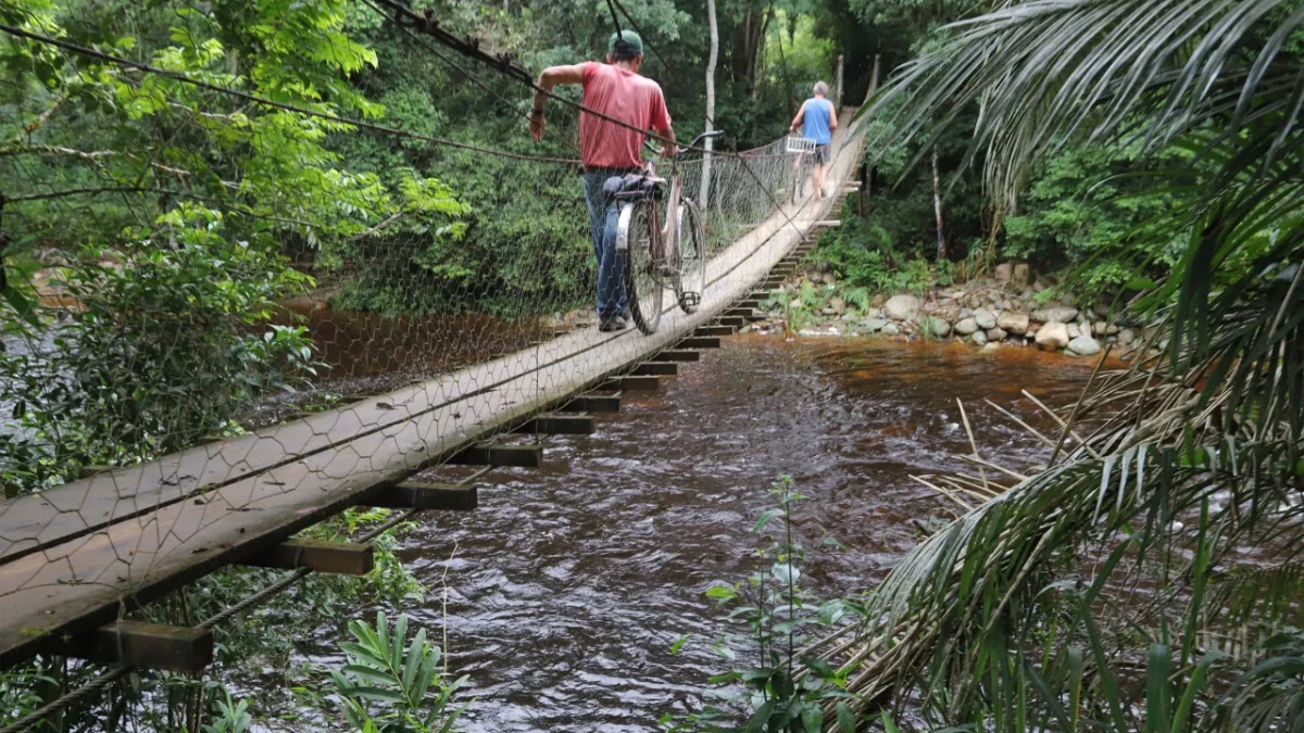 Verão Aumenta Risco de Acidentes com Animais Peçonhentos e Doenças em Cachoeiras