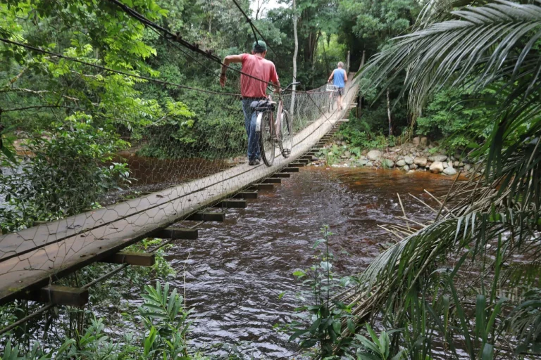 Verão Aumenta Risco de Acidentes com Animais Peçonhentos e Doenças em Cachoeiras
